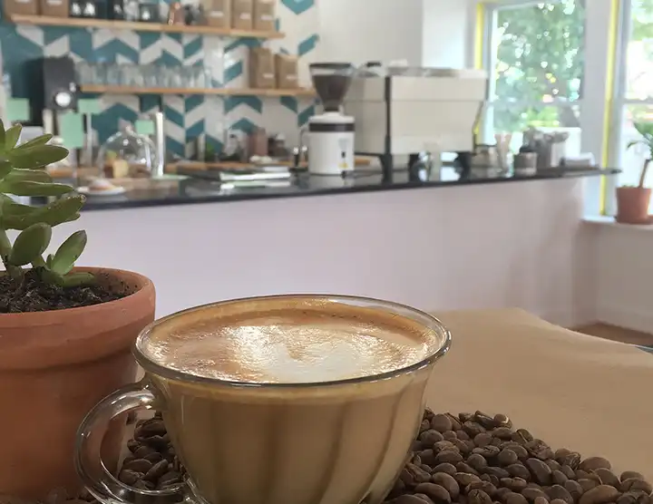 Cortado and Bar Inside Mea Culpa Cafe